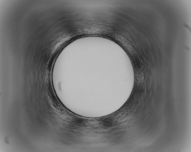 X0000097980583200804141119