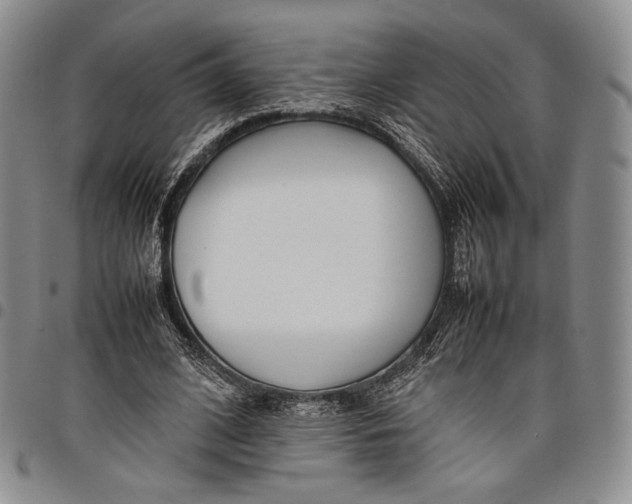 X0000097980584200804141119