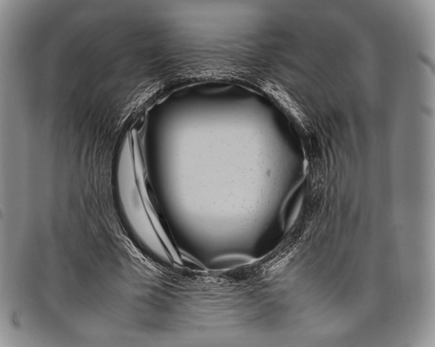 X0000097980585200804141119