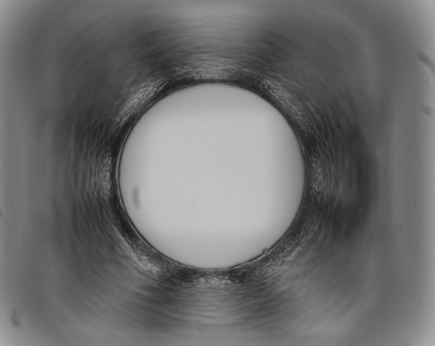 X0000097980586200804141119