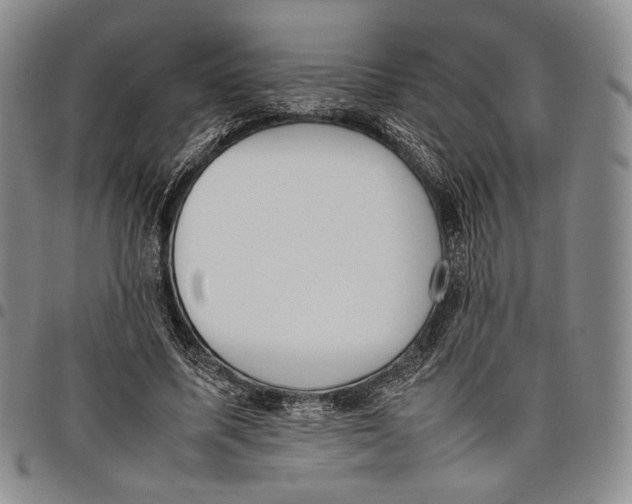 X0000097980587200804141119