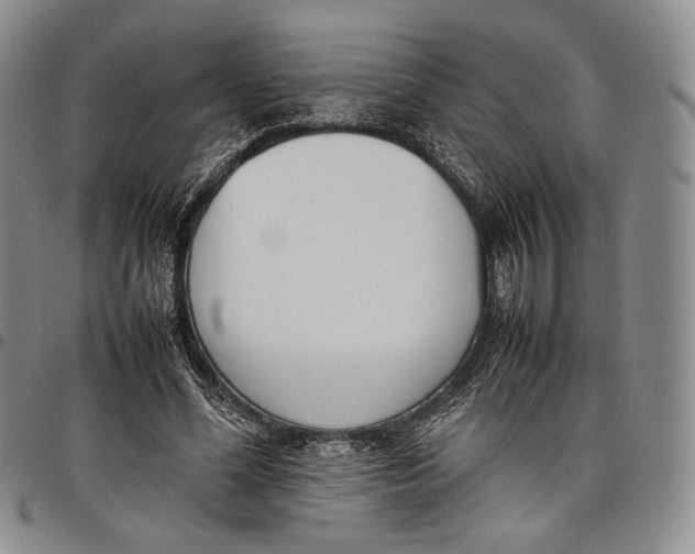 X0000097980588200804141119