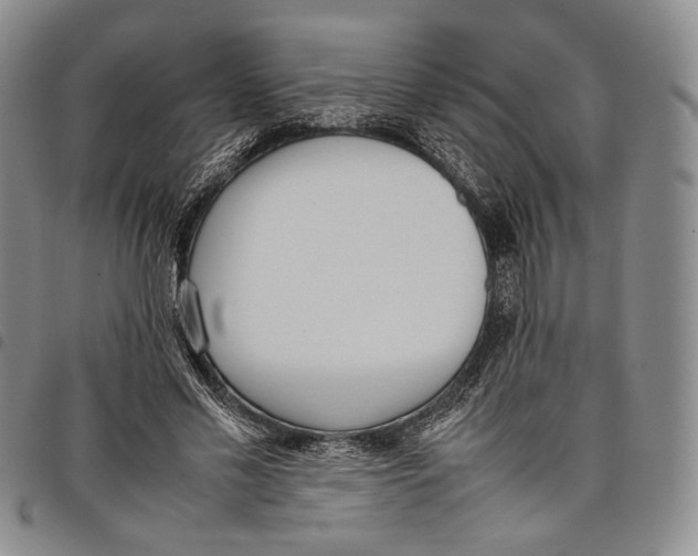 X0000097980589200804141119