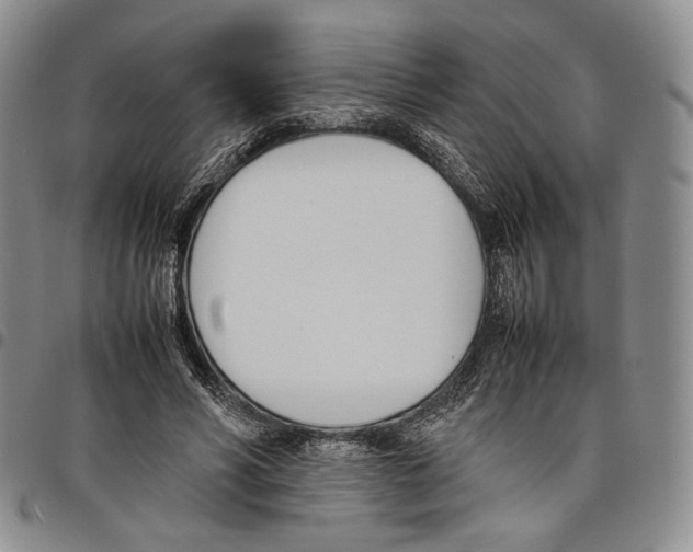 X0000097980590200804141119