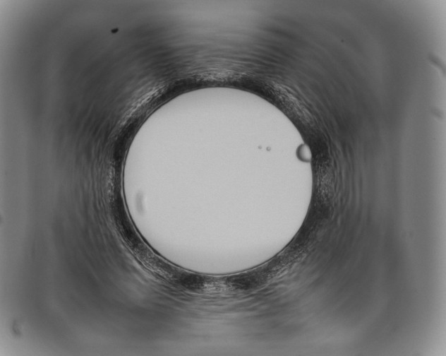 X0000097980591200804141119