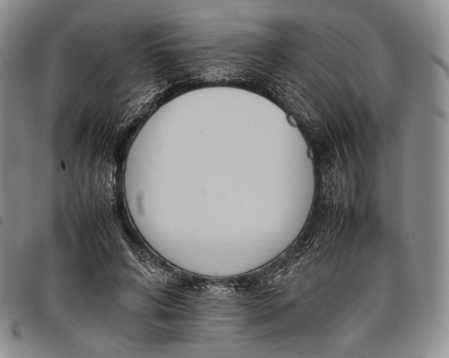 X0000097980592200804141119