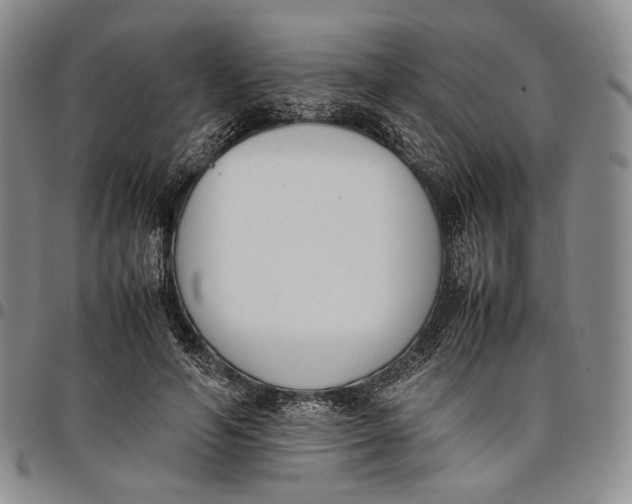 X0000097980594200804141119