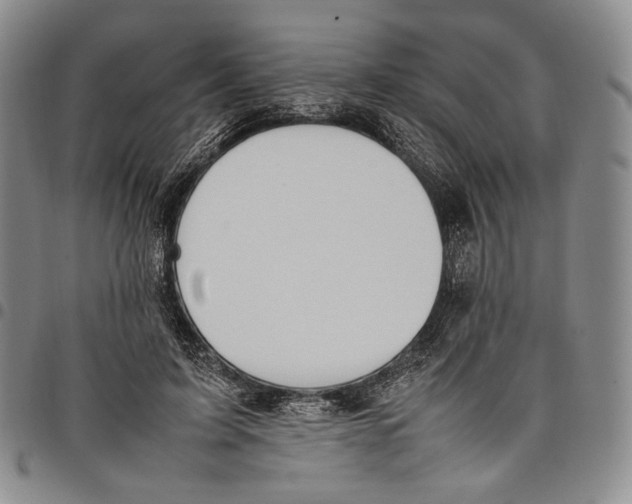 X0000097980595200804141119