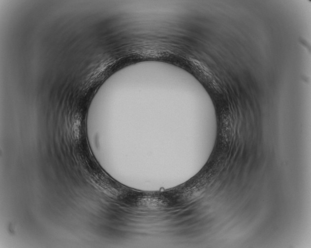 X0000097980596200804141119