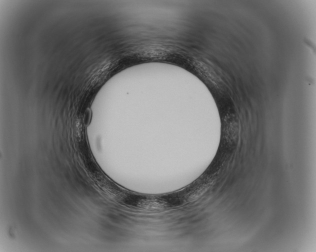 X0000097980597200804141119