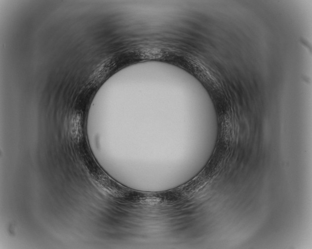 X0000097980598200804141119