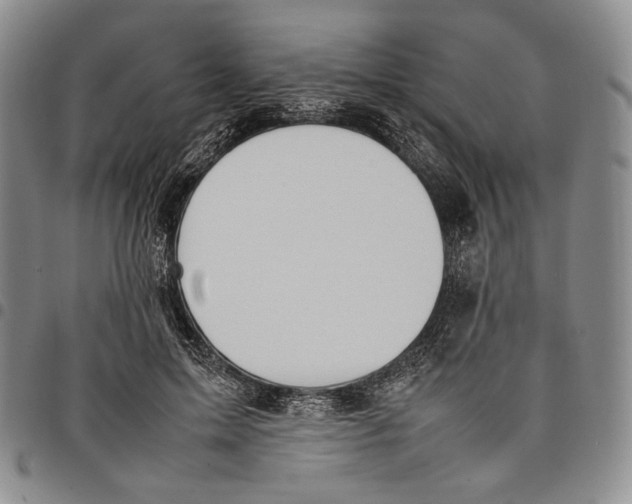 X0000097980599200804141119