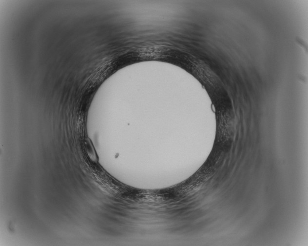 X0000097980601200804141119