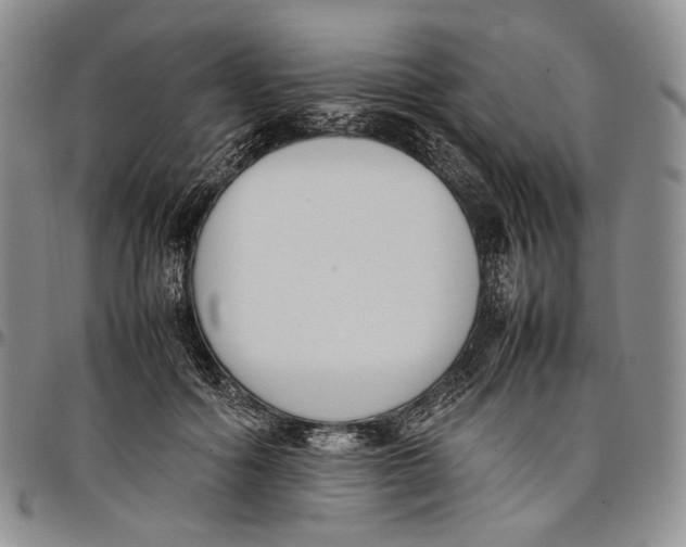 X0000097980602200804141119