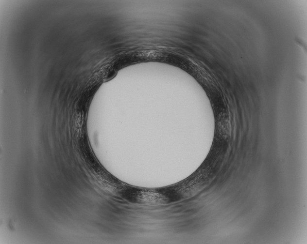 X0000097980605200804141119