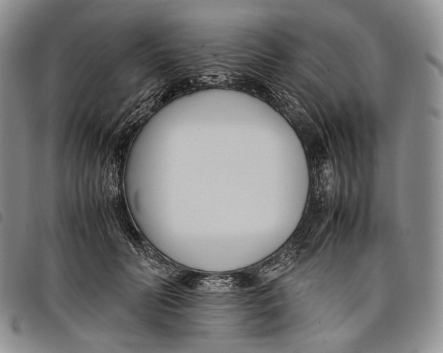 X0000097980606200804141119