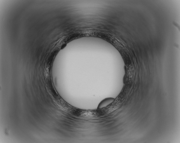 X0000097980611200804141119