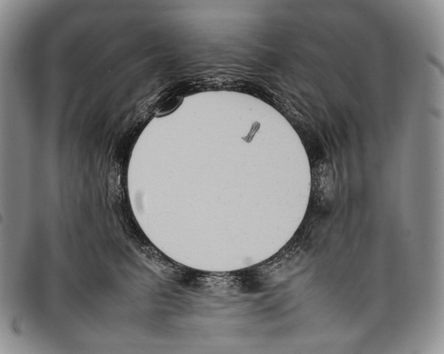 X0000097980615200804141118