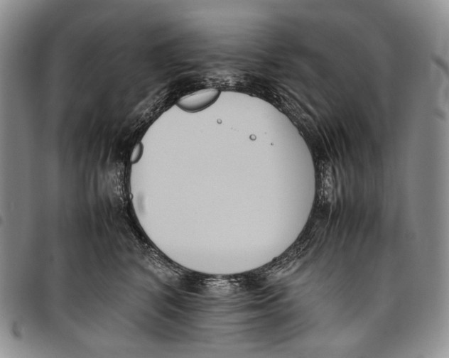 X0000097980616200804141118