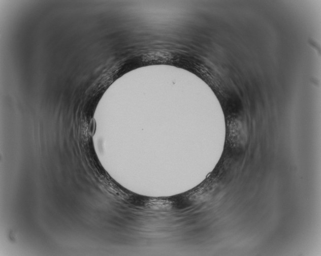 X0000097980617200804141118