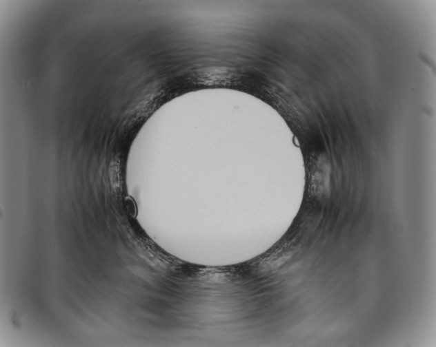 X0000097980620200804141118