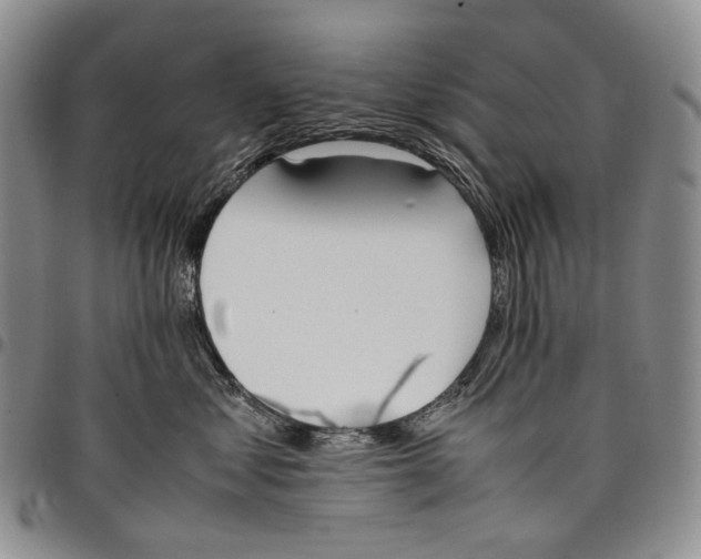 X0000097980621200804141118