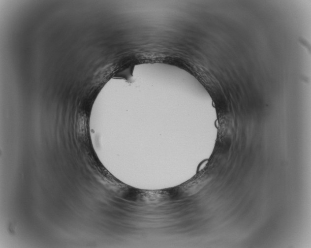 X0000097980623200804141118