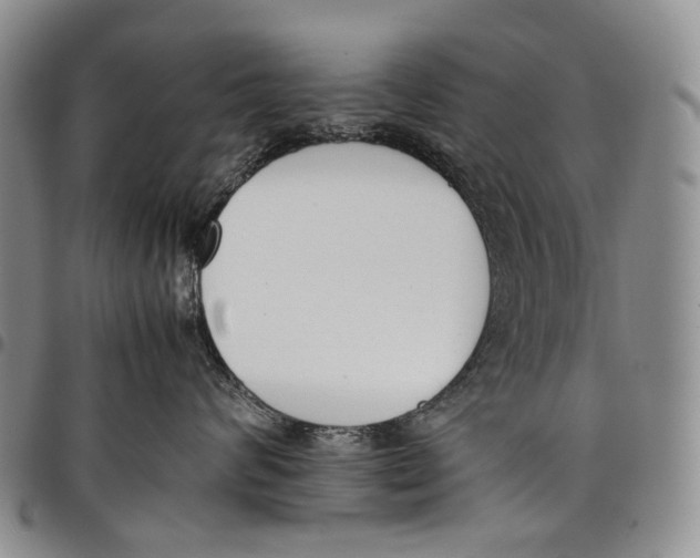 X0000097980624200804141118