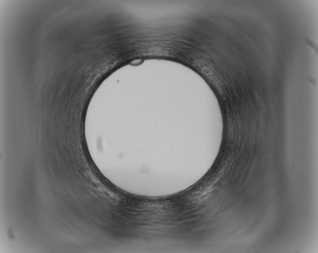 X0000097980625200804141118