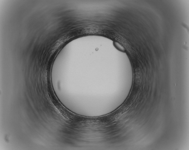 X0000097980626200804141118