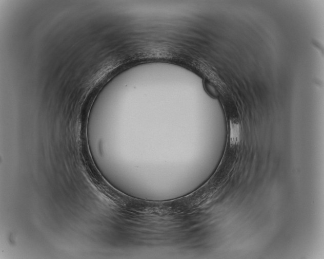 X0000097980627200804141118