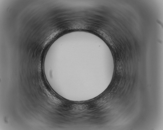 X0000097980629200804141118