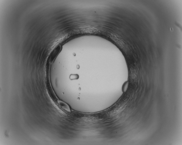 X0000097980630200804141118