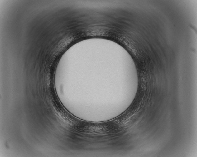 X0000097980631200804141118