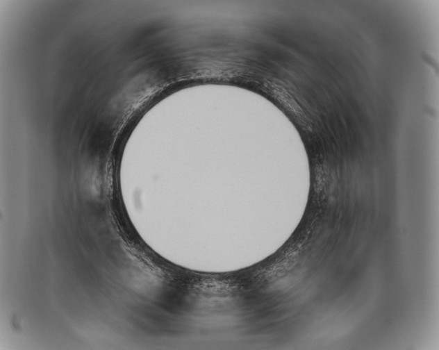 X0000097980632200804141118