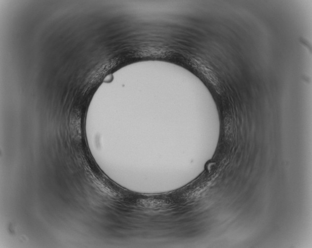 X0000097980633200804141118