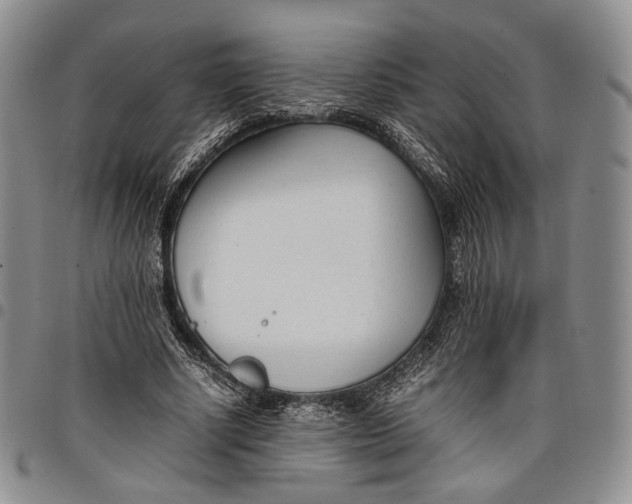 X0000097980634200804141118