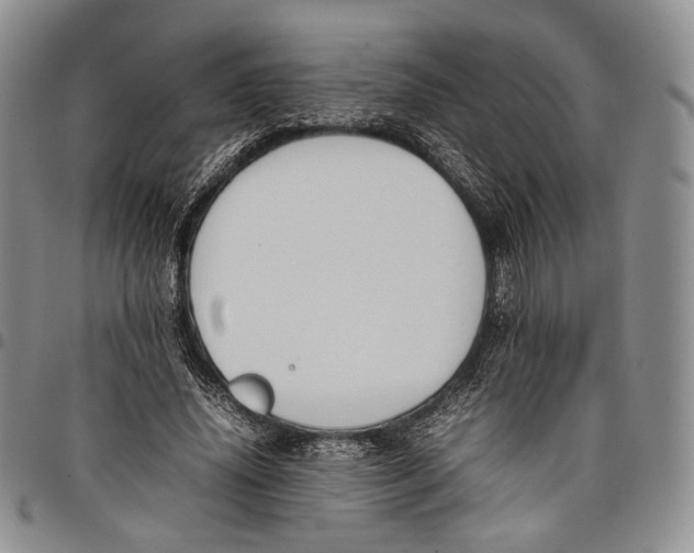 X0000097980636200804141118