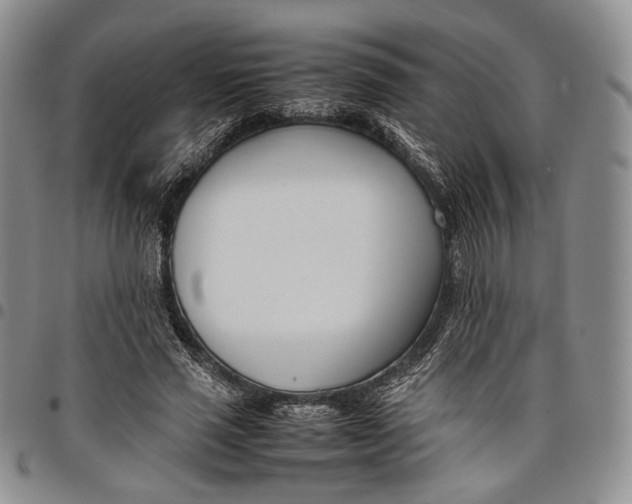 X0000097980637200804141118