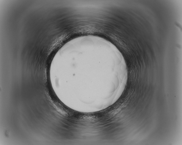 X0000097980638200804141118