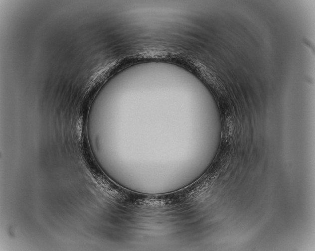 X0000097980640200804141118