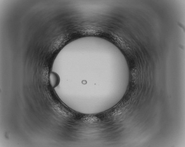 X0000097980642200804141118