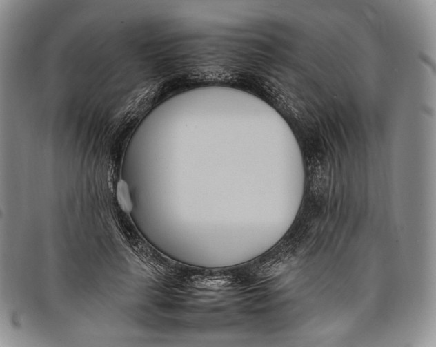 X0000097980643200804141118