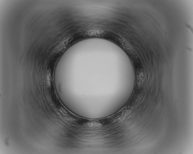 X0000097980644200804141118