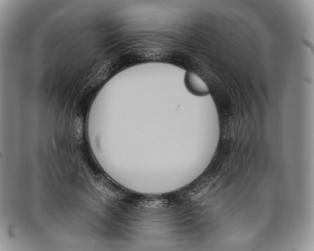 X0000097980646200804141118