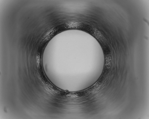 X0000097980648200804141118