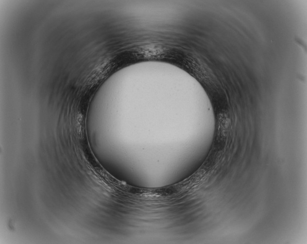 X0000097980650200804141118