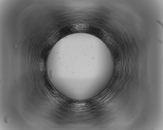 X0000097980651200804141118