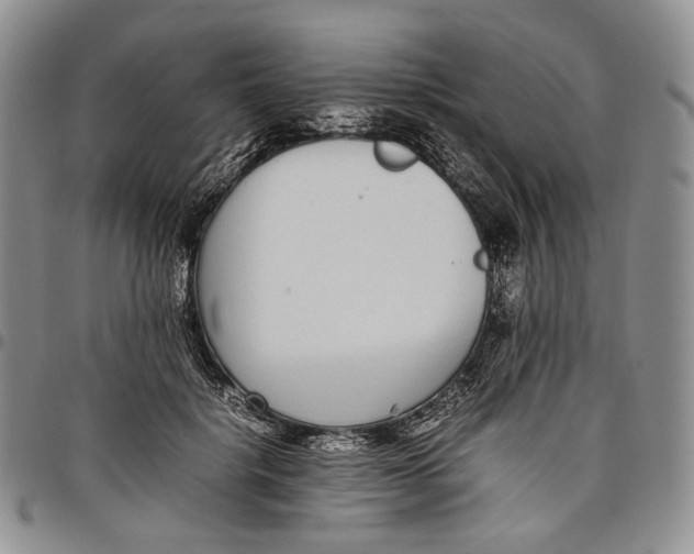 X0000097980652200804141118