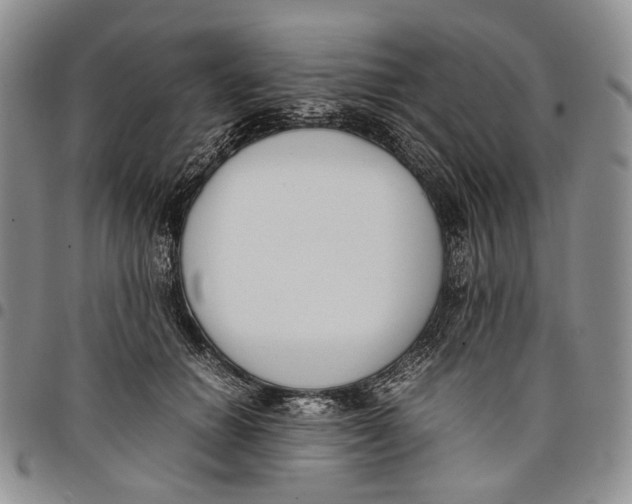 X0000097980654200804141118